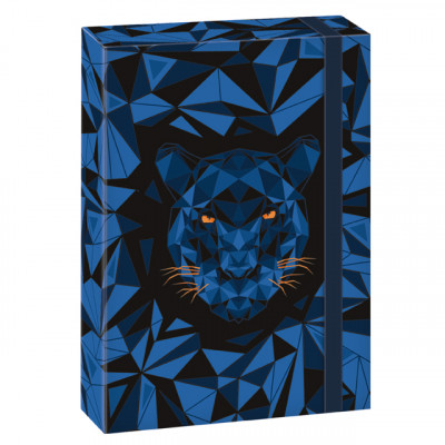 Školský box na zošity A4 Black Panther